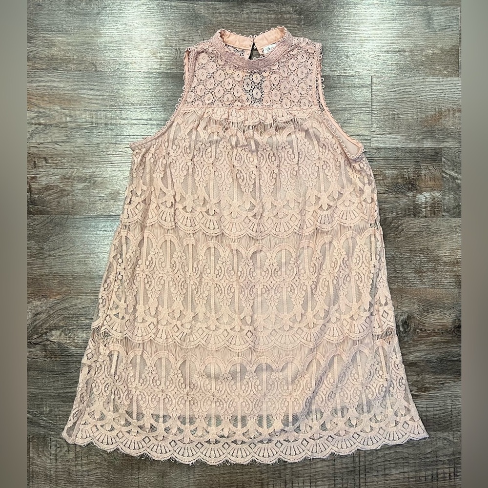 Skylar and Jade Blush Lace Dress